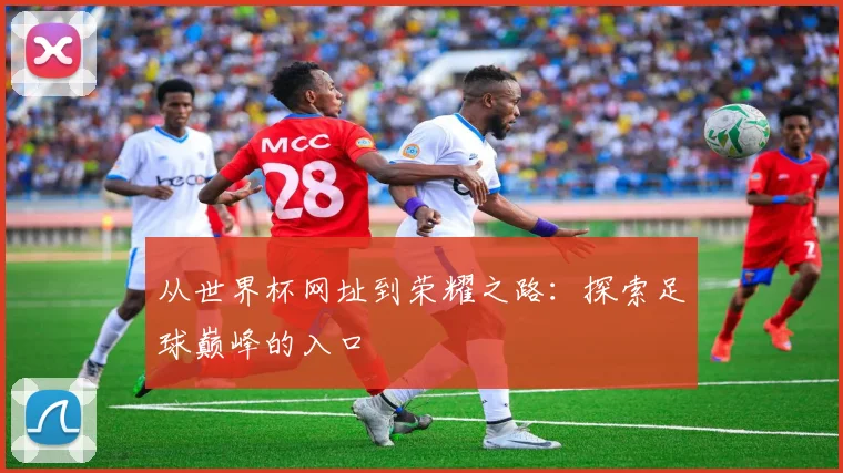 从世界杯网址到荣耀之路：探索足球巅峰的入口